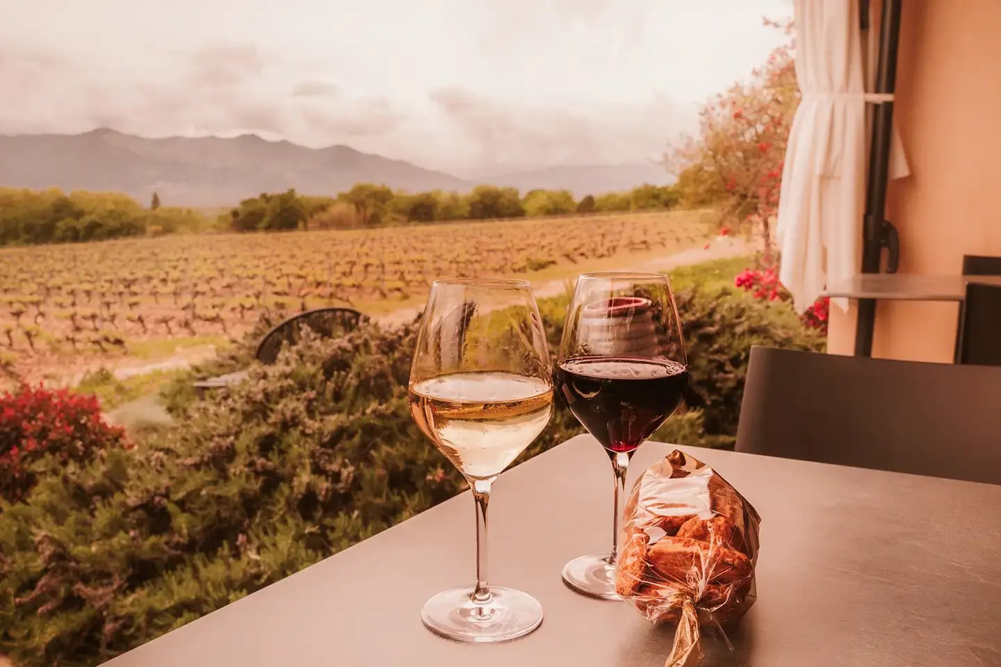 black-opal_jet-heli_napa-sonoma-valley-tastings