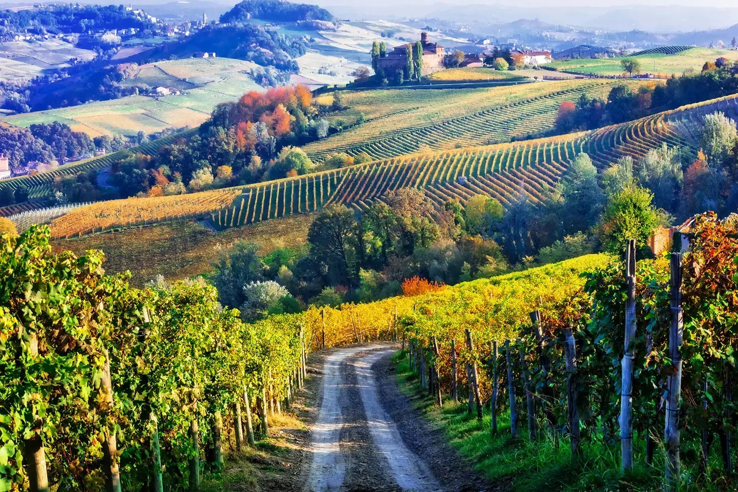 black-opal_jet-heli_tuscany-piedmont-wine-estates